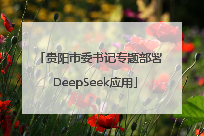 贵阳市委书记专题部署DeepSeek应用