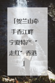 贺兰山牵手香江畔 宁夏特产“走红”香港