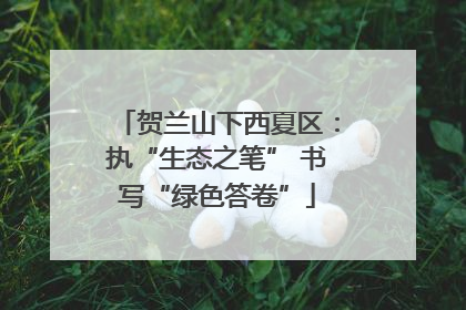 贺兰山下西夏区：执“生态之笔” 书写“绿色答卷”