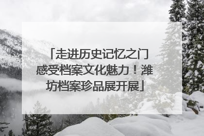走进历史记忆之门 感受档案文化魅力！潍坊档案珍品展开展