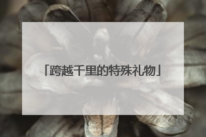 跨越千里的特殊礼物