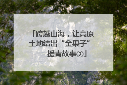 跨越山海，让高原土地结出“金果子”——援青故事②