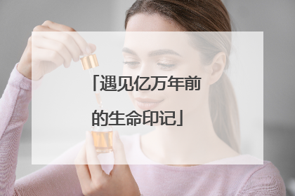 遇见亿万年前的生命印记