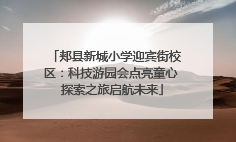 郏县新城小学迎宾街校区：科技游园会点亮童心 探索之旅启航未来