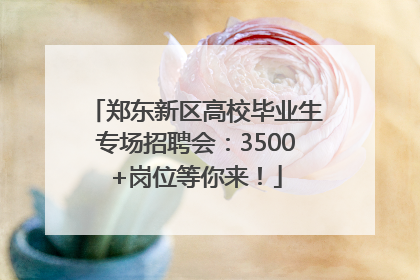 郑东新区高校毕业生专场招聘会：3500+岗位等你来！