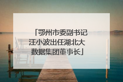 鄂州市委副书记汪小波出任湖北大数据集团董事长