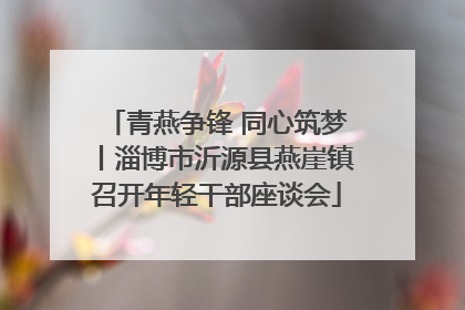 青燕争锋 同心筑梦丨淄博市沂源县燕崖镇召开年轻干部座谈会