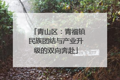 青山区：青福镇民族团结与产业升级的双向奔赴