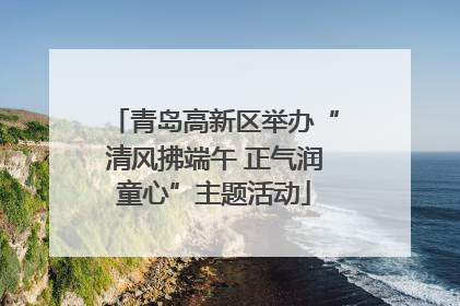 青岛高新区举办“清风拂端午 正气润童心”主题活动