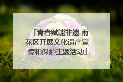 青春赋能非遗 雨花区开展文化遗产宣传和保护主题活动