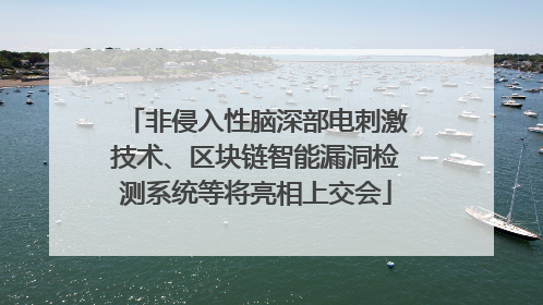 非侵入性脑深部电刺激技术、区块链智能漏洞检测系统等将亮相上交会
