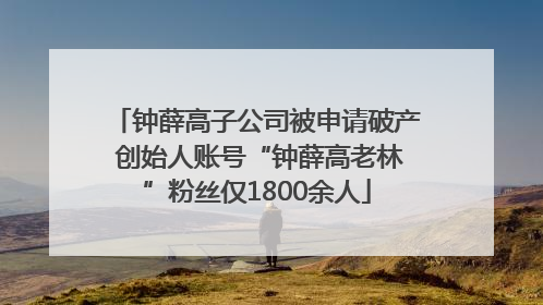 钟薛高子公司被申请破产 创始人账号“钟薛高老林”粉丝仅1800余人