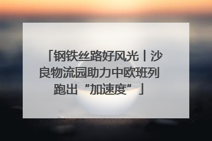 钢铁丝路好风光丨沙良物流园助力中欧班列跑出“加速度”