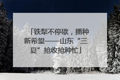 铁犁不停歇，播种新希望——山东“三夏”抢收抢种忙