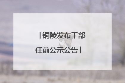 铜陵发布干部任前公示公告