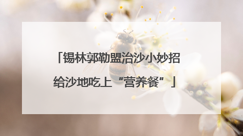 锡林郭勒盟治沙小妙招 给沙地吃上“营养餐”