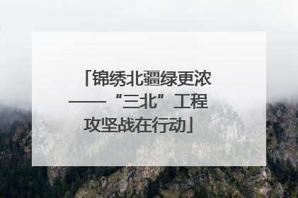 锦绣北疆绿更浓——“三北”工程攻坚战在行动