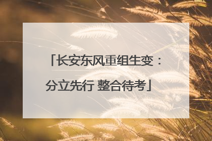 长安东风重组生变：分立先行 整合待考