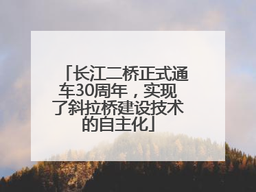 长江二桥正式通车30周年，实现了斜拉桥建设技术的自主化