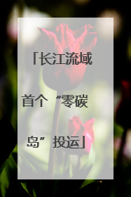长江流域首个“零碳岛”投运