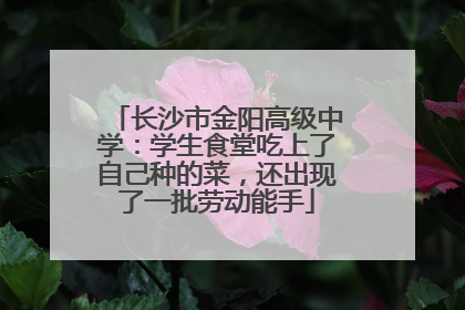 长沙市金阳高级中学：学生食堂吃上了自己种的菜，还出现了一批劳动能手