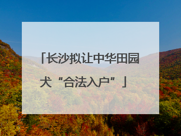 长沙拟让中华田园犬“合法入户”