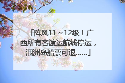 阵风11～12级！广西所有客渡运航线停运，涠洲岛船票可退……