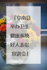 阜南县举办卫生健康系统好人表彰宣讲会