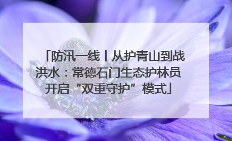 防汛一线丨从护青山到战洪水：常德石门生态护林员开启“双重守护”模式