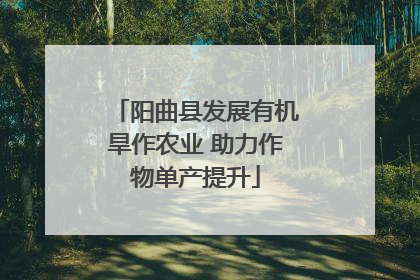 阳曲县发展有机旱作农业 助力作物单产提升
