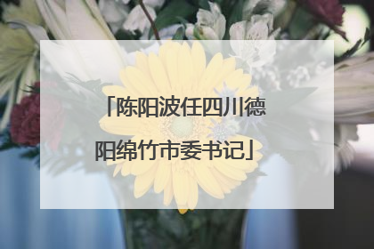 陈阳波任四川德阳绵竹市委书记