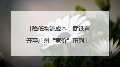 降低物流成本：武铁首开至广州“竞价”班列
