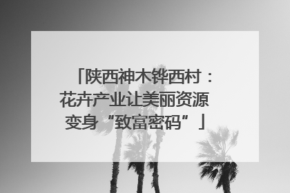 陕西神木铧西村：花卉产业让美丽资源变身“致富密码”
