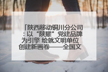陕西移动铜川分公司：以“陕耀”党建品牌为引擎 绘就文明单位创建新画卷——全国文明单位创建纪实