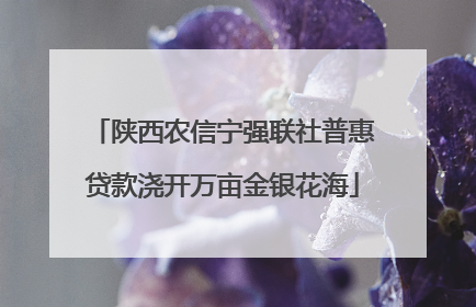 陕西农信宁强联社普惠贷款浇开万亩金银花海