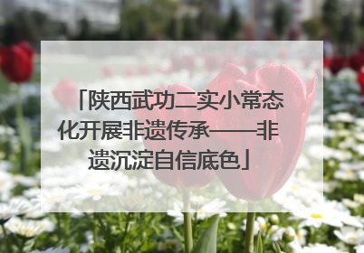 陕西武功二实小常态化开展非遗传承——非遗沉淀自信底色