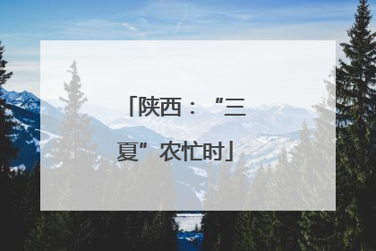 陕西：“三夏”农忙时