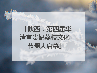 陕西：第四届华清宫贵妃荔枝文化节盛大启幕