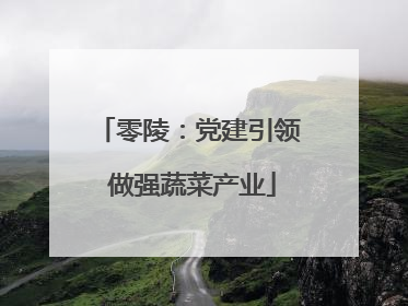 零陵：党建引领 做强蔬菜产业
