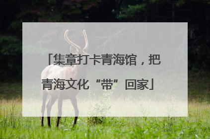 集章打卡青海馆，把青海文化“带”回家