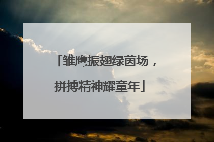 雏鹰振翅绿茵场，拼搏精神耀童年
