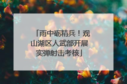 雨中砺精兵！观山湖区人武部开展实弹射击考核