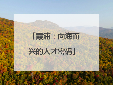 霞浦：向海而兴的人才密码