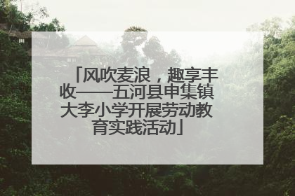 风吹麦浪，趣享丰收——五河县申集镇大李小学开展劳动教育实践活动