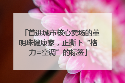首进城市核心卖场的董明珠健康家，正撕下“格力=空调”的标签