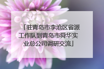 驻青岛市李沧区省派工作队到青岛市舜华实业总公司调研交流
