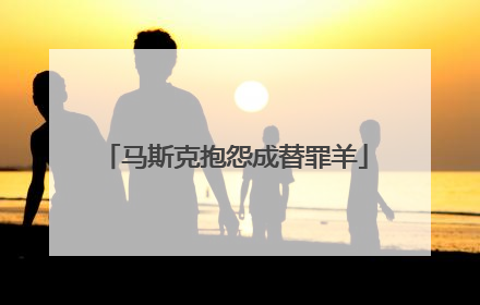 马斯克抱怨成替罪羊