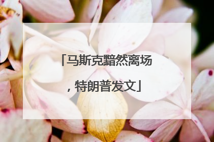 马斯克黯然离场，特朗普发文