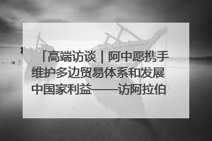 高端访谈｜阿中愿携手维护多边贸易体系和发展中国家利益——访阿拉伯议会议长亚马希