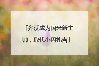 齐沃成为国米新主帅，取代小因扎吉